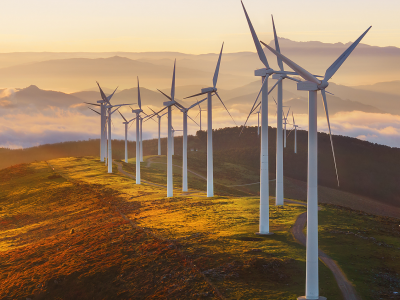 World Environment Day Joint Statement