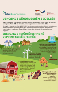 SUSTAINABLE GREEN FOOD